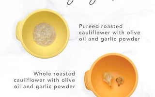 Introducing Flavor! Veggies, Fats, Herbs, and Spices For Babies with @pediatric.dietician - Bumkins