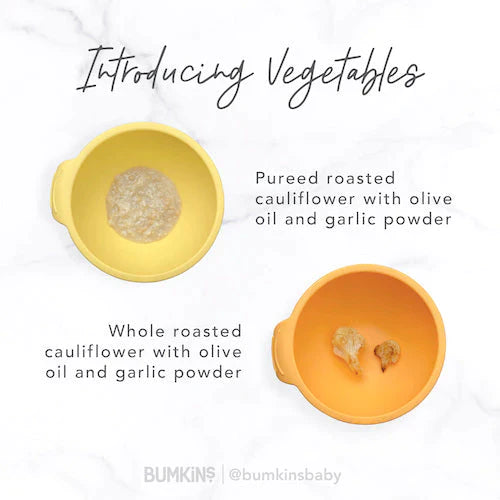 Can Babies Have Garlic Powder?