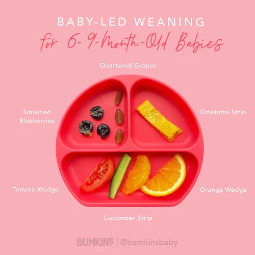 Baby led weaning 2024 6 months food