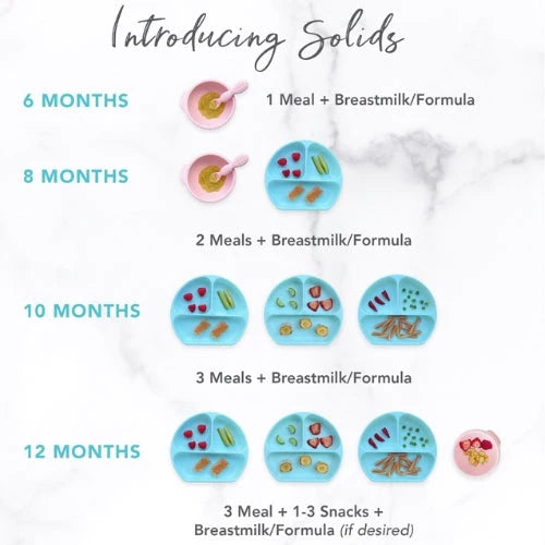 6 Months Old Baby Food Chart Along With Recipes