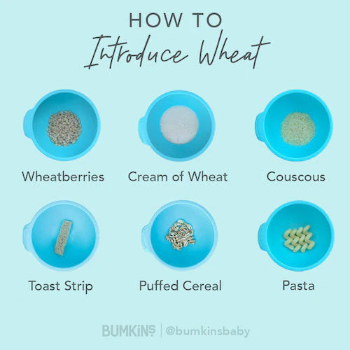 Shredded wheat for babies 2025