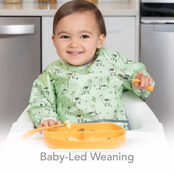 Baby-Led Weaning Essentials