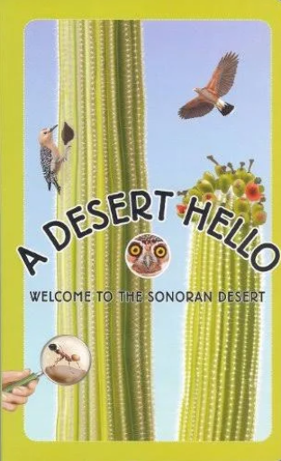 Colorful Desert Hello Board Book by Treasure Chest Books features cacti, birds, an owl, and an ant: Welcome to the Sonoran Desert.