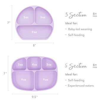 Size chart comparing Bumkins Silicone Grip Dish 3 Section versus 5 Section with dimensions and compartment sizes.