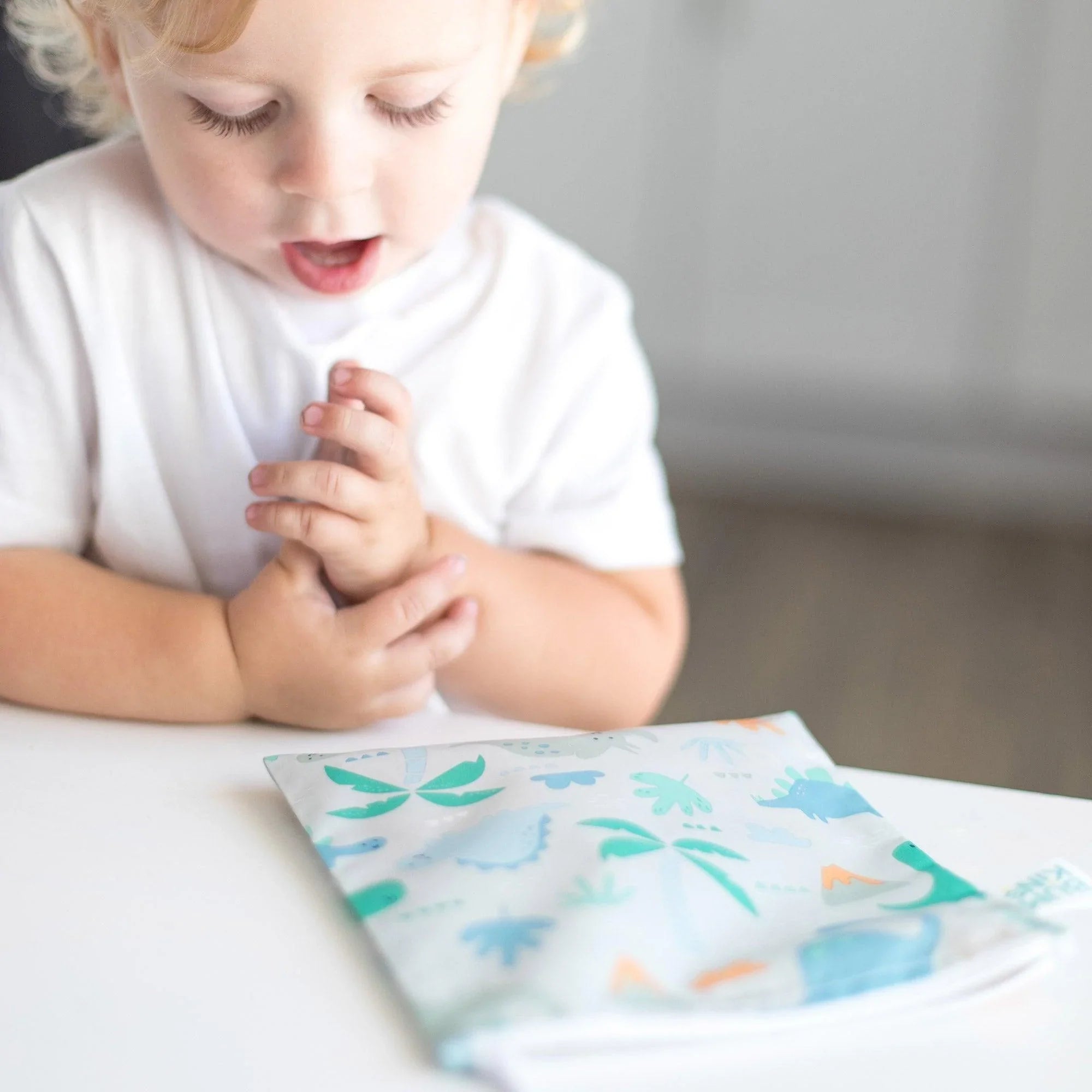 Reusable Snack Bag, Large 2-Pack: Dinosaurs & Blue Tropic - Bumkins