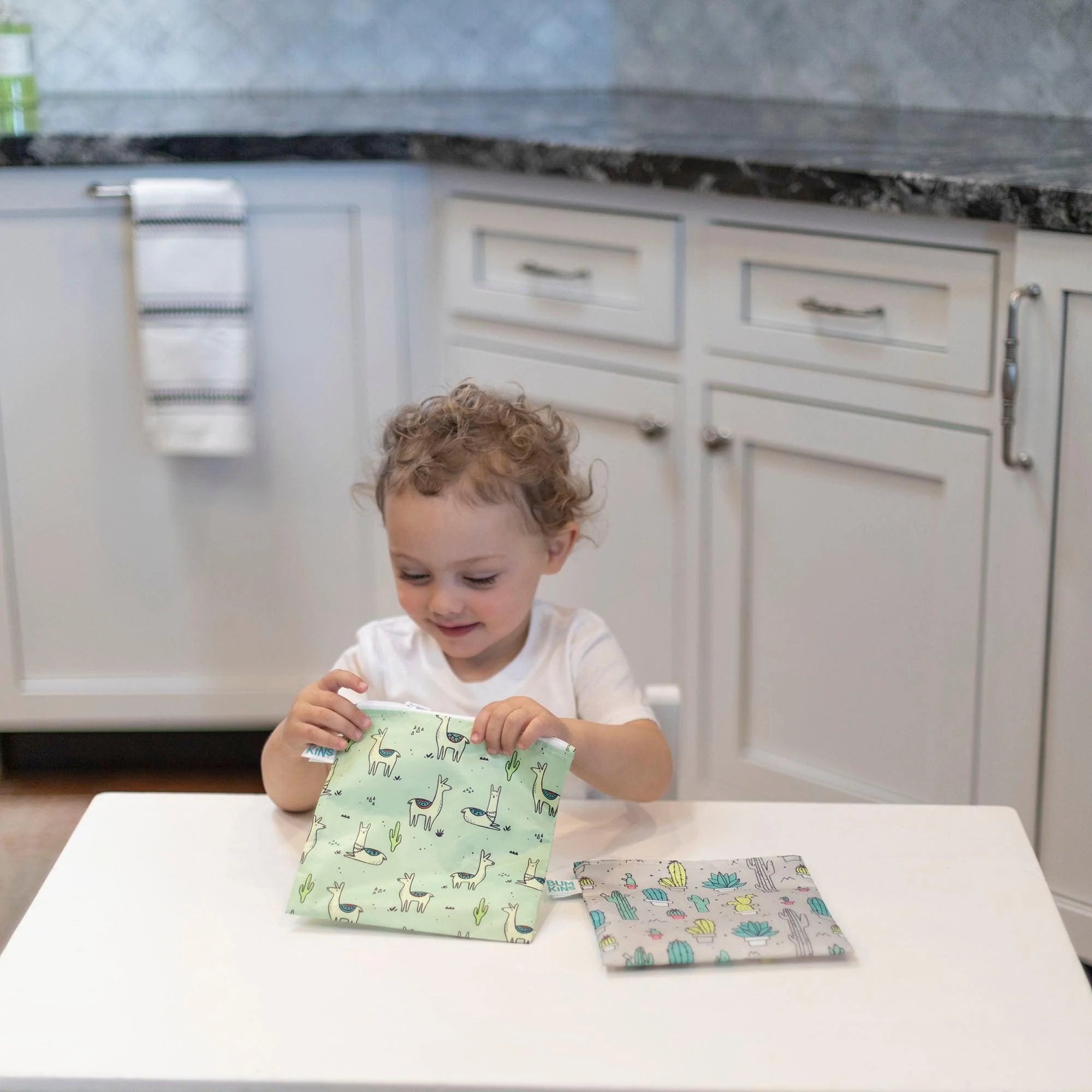 Reusable Snack Bag, Large 2-Pack: Cacti & Llama - Bumkins