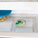 Close-up of a glass refrigerator shelf with a Bumkins Silicone Teething Charms: Green beside a covered bowl of food.