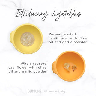 Introducing Flavor! Veggies, Fats, Herbs, and Spices For Babies with @pediatric.dietician - Bumkins