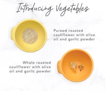 Introducing Flavor! Veggies, Fats, Herbs, and Spices For Babies with @pediatric.dietician - Bumkins