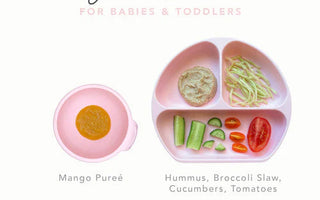 Hydrating Foods For Babies & Toddlers with Pegah, Pediatric Nutrition - Bumkins