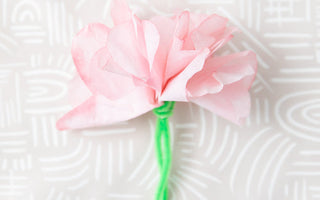 Garden Magic: Two Ways to Create Your Own Spring Blooms 🌸