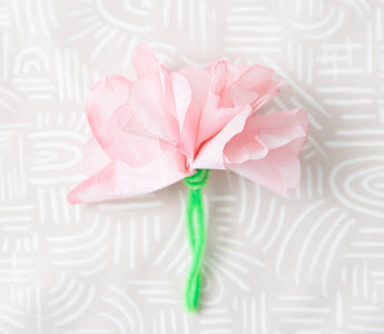 Garden Magic: Two Ways to Create Your Own Spring Blooms 🌸