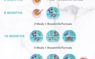 Navigating Solids, Mealtime & Feeding Schedules by Age with Pediatric Dietician Pegah - Bumkins
