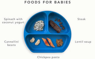 Pediatric Dietician Pegah Shares Insights On Iron Rich Foods For Babies - Bumkins