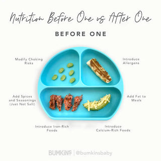 Feeding Before Age 1 vs. After Age 1 - Bumkins