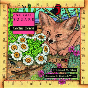 One Small Square Cactus Desert paperback by Treasure Chest Books showcases a fennec fox, plants, and birds on its illustrated cover.