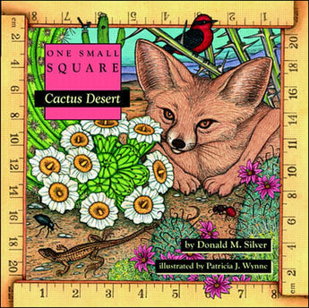 One Small Square Cactus Desert paperback by Treasure Chest Books showcases a fennec fox, plants, and birds on its illustrated cover.