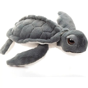 Wild Onez Kempt Sea Turtle