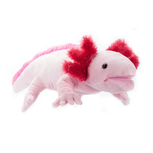 Puppetz Axolotl