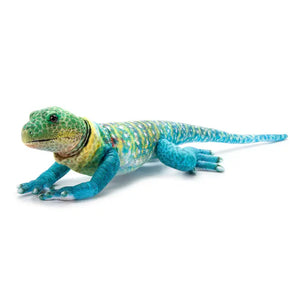 Wild Onez Collared Lizard