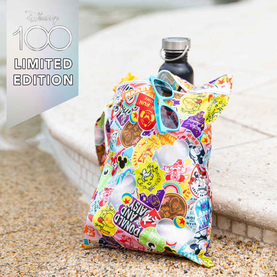 Disney 2025 laundry bag