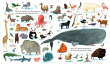 The Here We Are Hardcover Book by Random House features a white background filled with illustrated animals like a whale and tiger.
