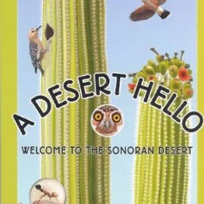 Colorful Desert Hello Board Book by Treasure Chest Books features cacti, birds, an owl, and an ant: Welcome to the Sonoran Desert.