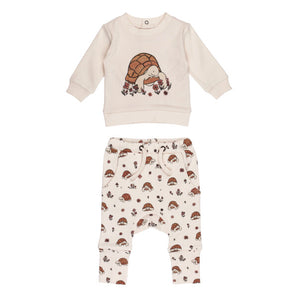 Organic Sweatshirt & Jogger Set, Tiny Tortoise