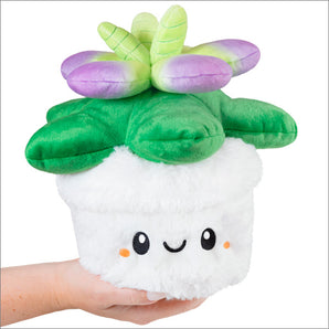 Squishables Mini Succulent Plush—pot with a smile, green leaves, purple accents—is easy plant fun in your hand!.