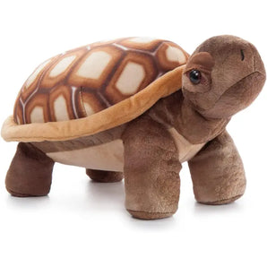 Wild Onez Desert Tortoise