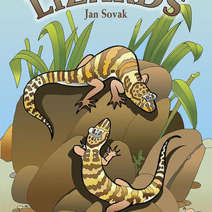 Coloring Book, Lizards by Treasure Chest Books features two exotic lizards on rocks among lush green plants on the illustrated cover.