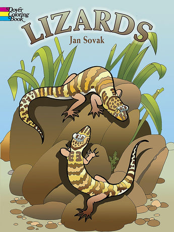 Coloring Book, Lizards by Treasure Chest Books features two exotic lizards on rocks among lush green plants on the illustrated cover.