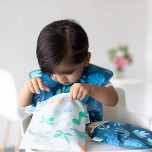Reusable Snack Bag, Large 2-Pack: Dinosaurs & Blue Tropic - Bumkins